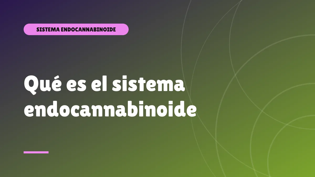 Qué es el sistema endocannabinoide