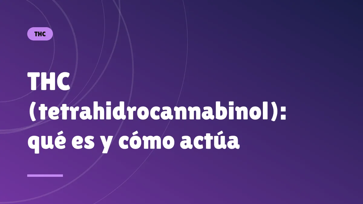 THC (tetrahidrocannabinol): qué es y cómo actúa
